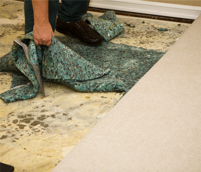 wet carpeting and carpet pad